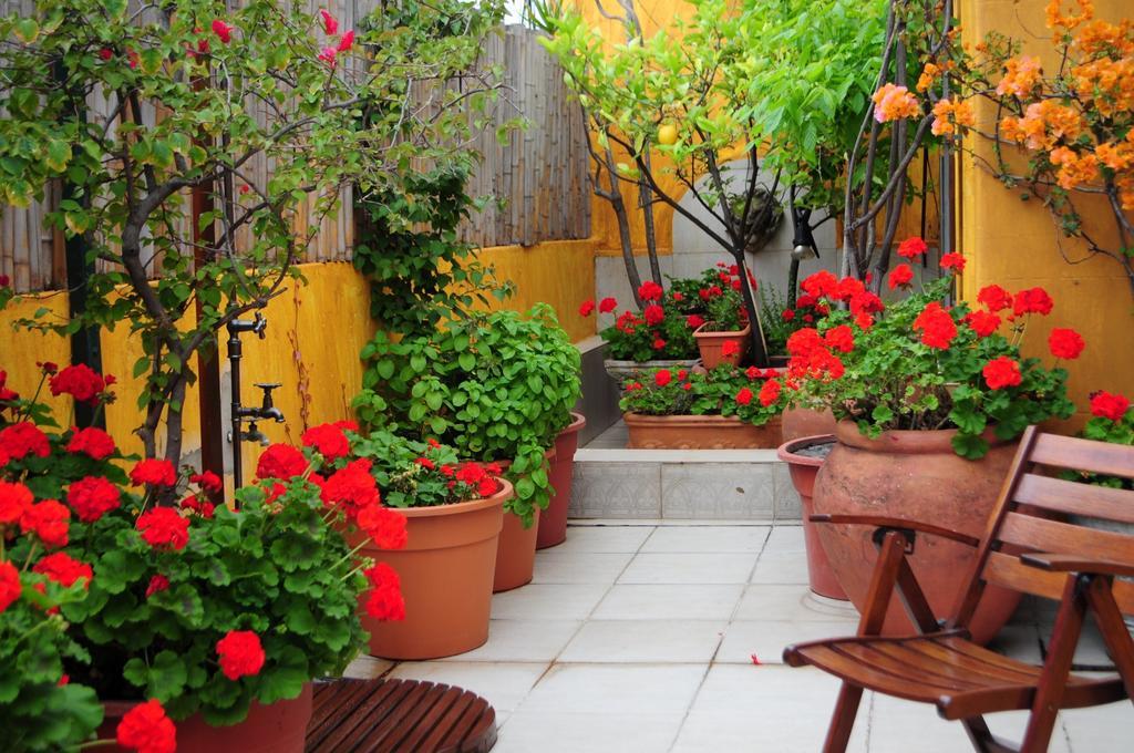 Optimus Ba Bed and Breakfast Buenos Aires Kamer foto
